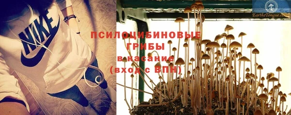 MESCALINE Богородицк