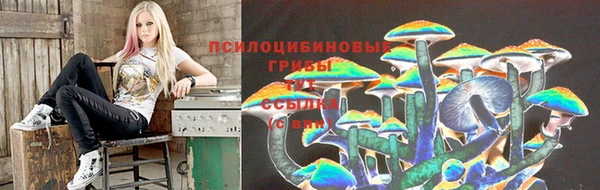 синтетический гашиш Богданович