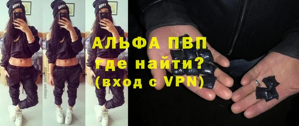 стаф Снежногорск