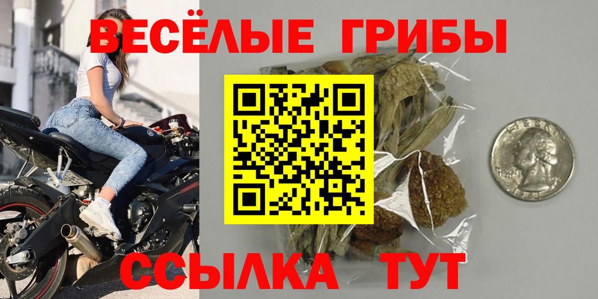 Псилоцибиновые грибы GOLDEN TEACHER  Вход с VPN  Галлюциногенные грибы мицелий  Маркс 